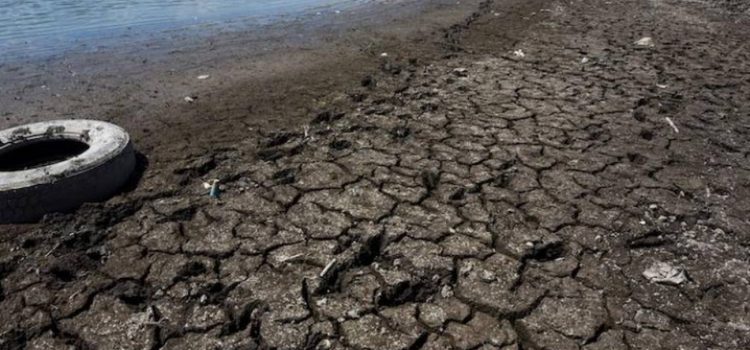 Alrededor de 42 municipios en la entidad presentan afectaciones por sequía