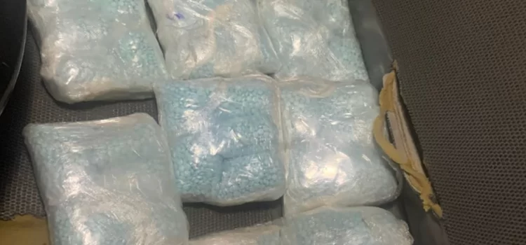 Decomisan alrededor de 40 mil pastillas de fentanilo en Chihuahua