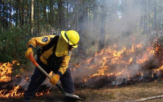 Incendios en Chihuahua afectan más de 7 mil 400 hectáreas