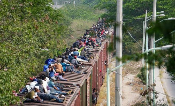 Migrantes en Chihuahua frenan tren para subirse
