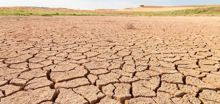 Declaran emergencia por sequía extrema en Chihuahua