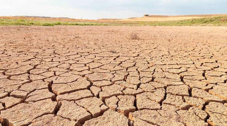 Declaran emergencia por sequía extrema en Chihuahua