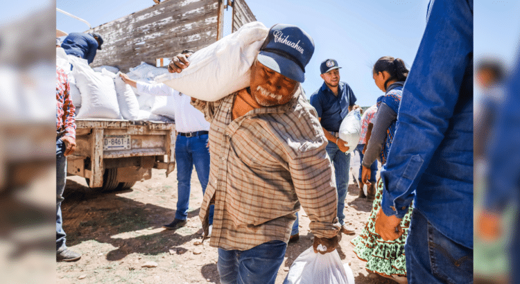 Entregará Gobierno del Estado 44 mil paquetes de alimento en la Sierra