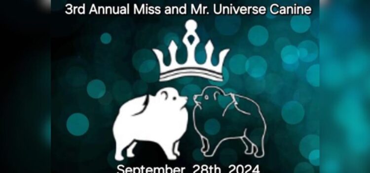 El último ladrido de la moda: Todo listo para el Miss y Mr. Universo Canino 2024