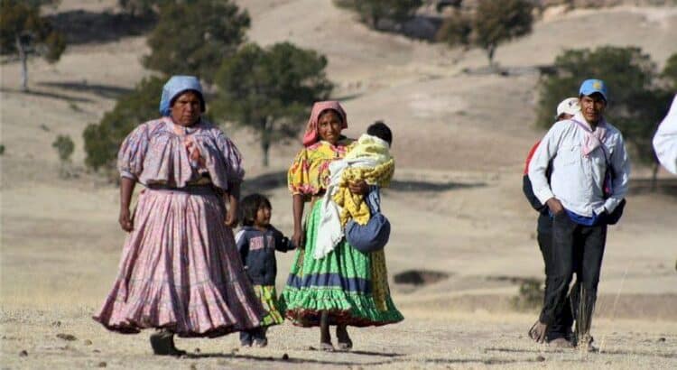 Más de 300 tarahumaras son desplazados por inseguridad en Chihuahua