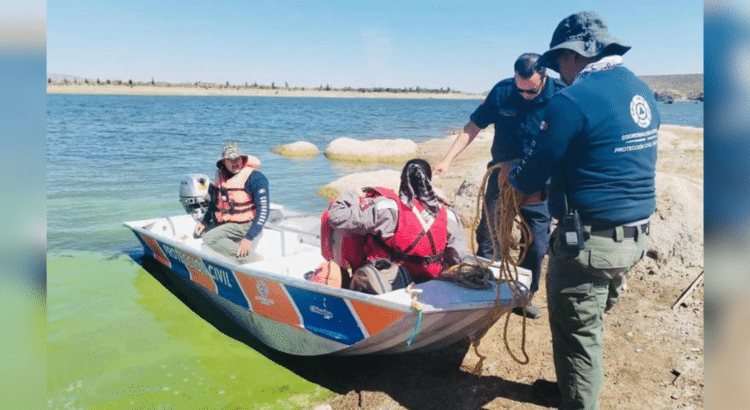 Logran extraer con éxito el helicóptero que cayó en la Presa Chihuahua hace un mes