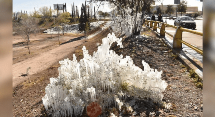 ¿Cuándo llega la primera helada del 2024 a Chihuahua capital?