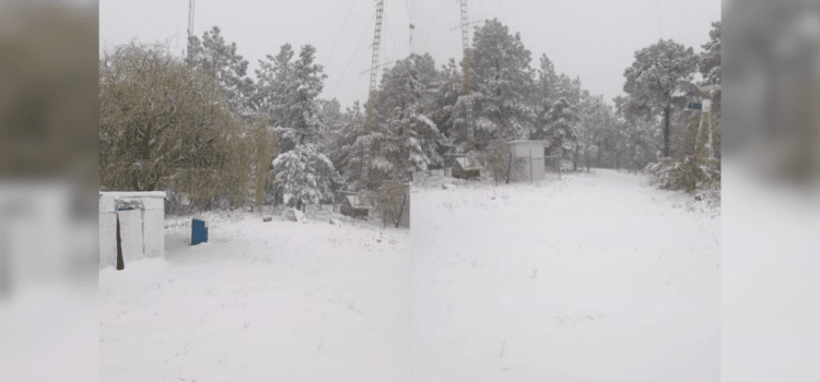 Causa Primera Tormenta Invernal nevadas, incendios y fallas eléctricas en la entidad