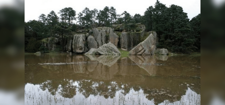 Convocan a artistas a participar en proyecto “Imágenes del cuerpo en la mirada del mundo”