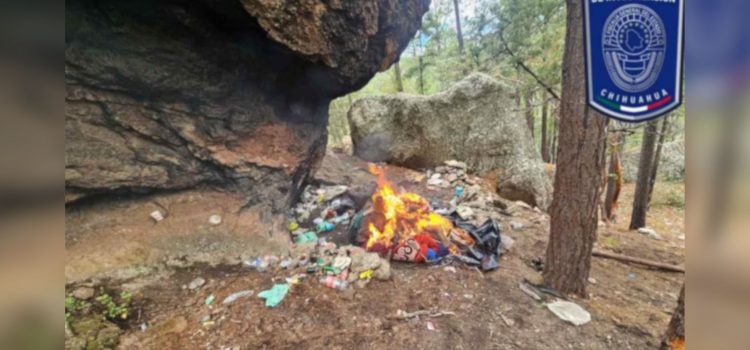 Desmantelan campamento presuntamente utilizado por el crimen organizado en Chihuahua; no hay detenidos