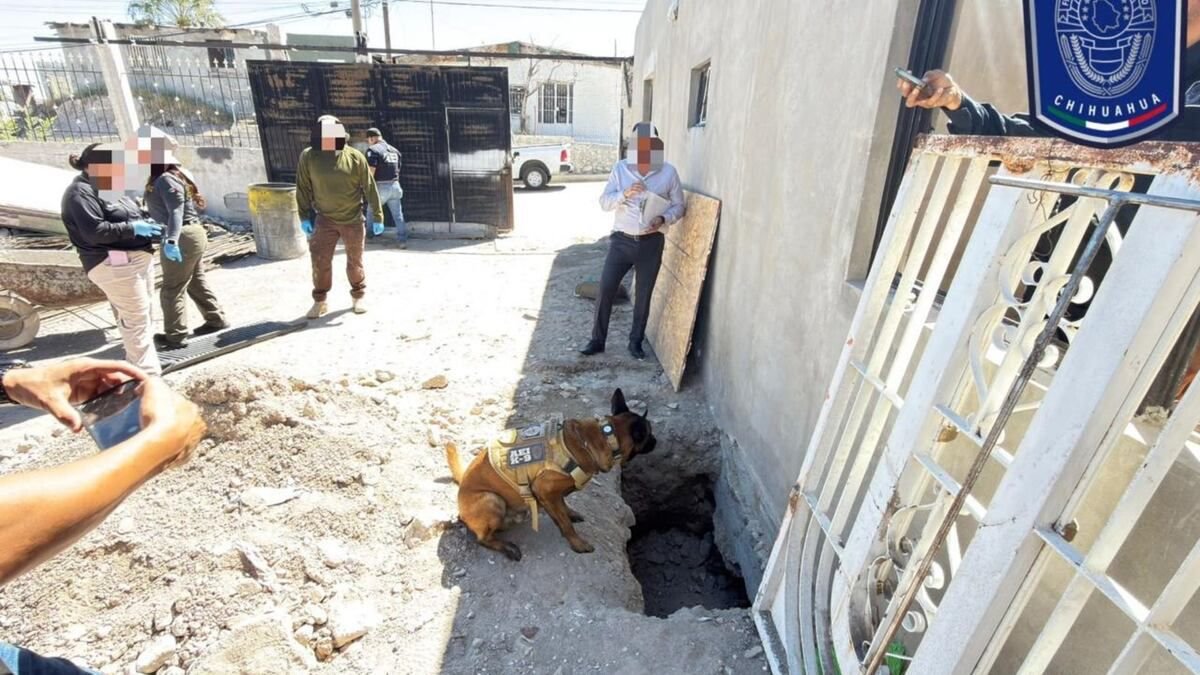 Hallan tres osamentas durante cateo en Juárez